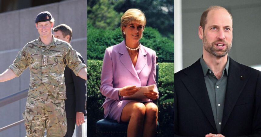 Prince Harry, taken on May 7, 2015 (via Flickr) Princess Diana, Washington DC, American Red Cross, June 17, 1997 ( via Flickr ) and Prince William featuring sustainable clothing by ECOALF posted on Instagram (@princewilliambr)