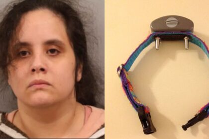 30 year old mother who has been accused of child abuse (@its_onsite) and Shock collar via Wikimedia Commons)