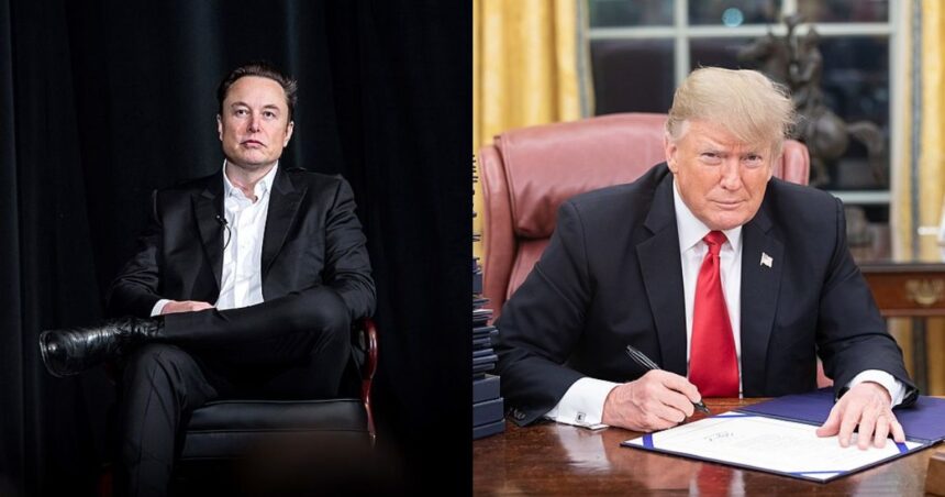 Elon Musk speaking at an event in Colorado in 2022 (via Wikimedia Commons )and President Donald Trump sitting at his desk in the Oval Office( Photo by Official White House Photo via Wikimedia Commons)