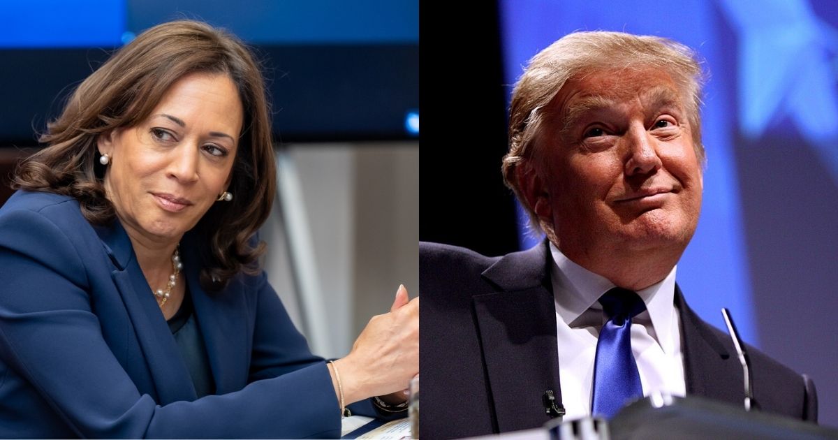 Kamala Harris Slammed by Democrats for MIA After Defeat Against Trump