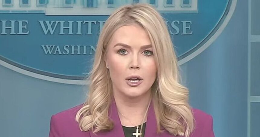 Karoline Leavitt at her first Press Conference in 2025, as seen in a video posted on the White House's YouTube channel. (Source: YouTube|The White House