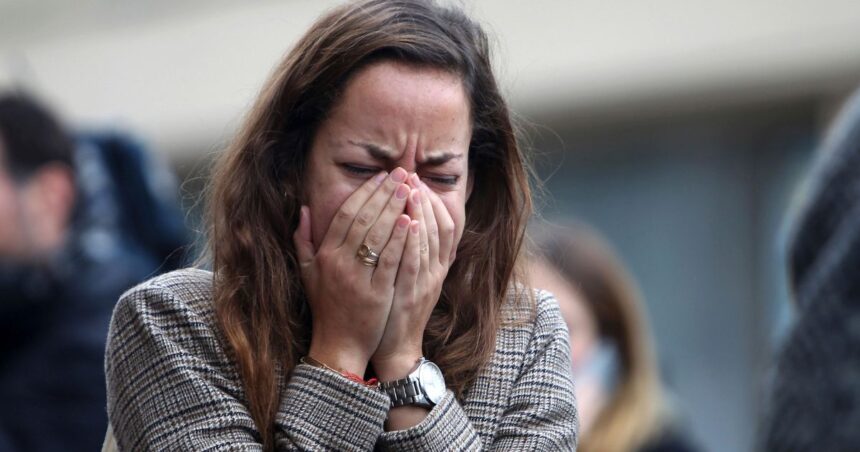 Scottish Woman Checks Dog Camera During Holiday, Find Out His Son is Dead