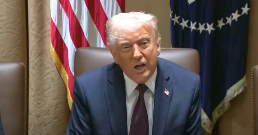 Donald Trump at a Cabinet meeting